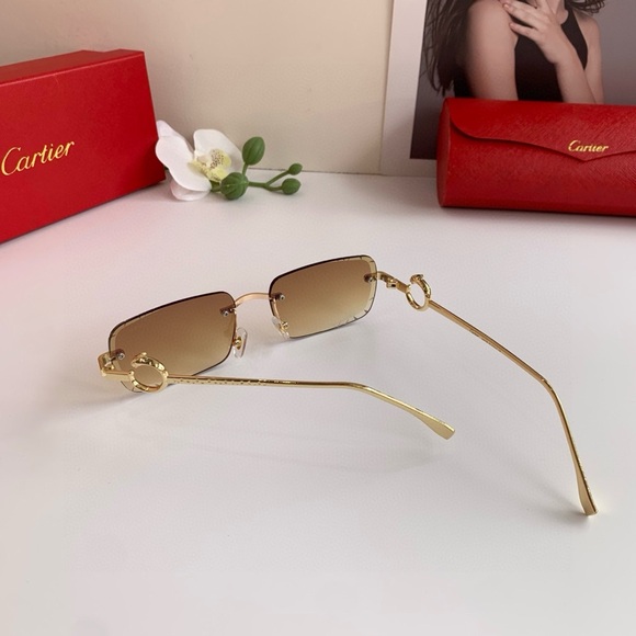 Cartier Gold and Brown Women\'s Sunglasses main image 4